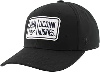 Zephyr NCAA Snapback Hat - Officially Licensed Howard Bison Competitor Team Color