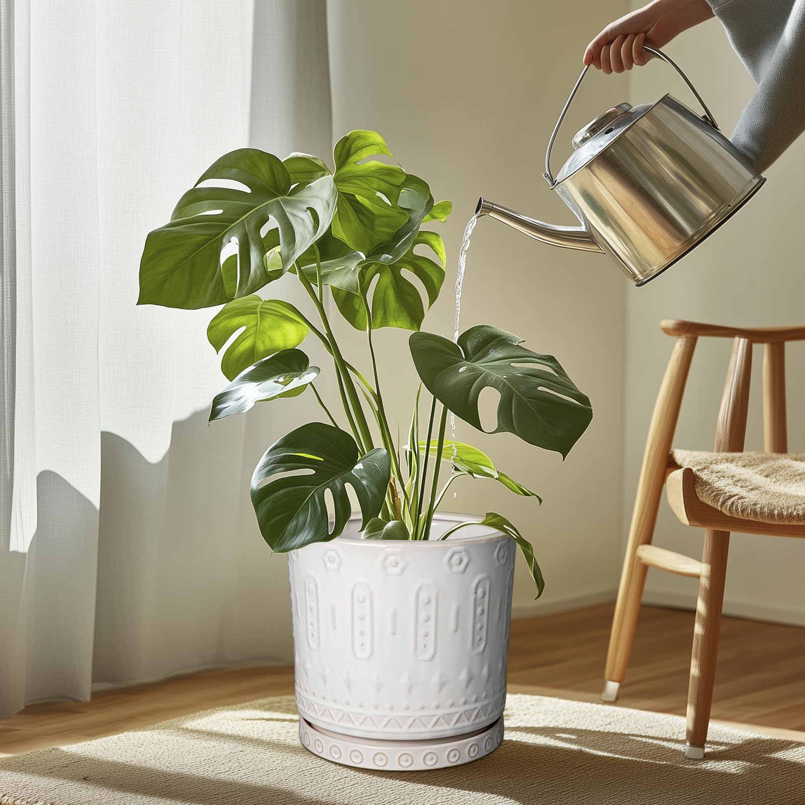Cream White Plant Saucers - Drainage Trays -2 Cream White Plant Saucers - Drainage Trays -2