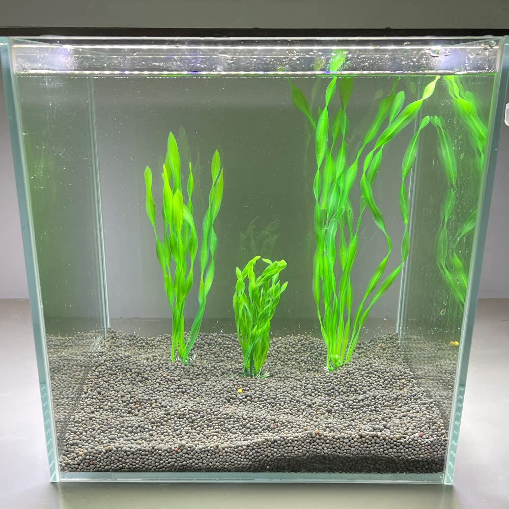 Kit Attrezzi Per Acquario - Forbici, Pinzette E Spatola In Acciaio Inox, 4 Pezzi - Foto 7