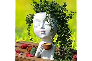 Ceramic Face Vase Planter, Stylish Artistic Face Head Planters for Indoor Plants...