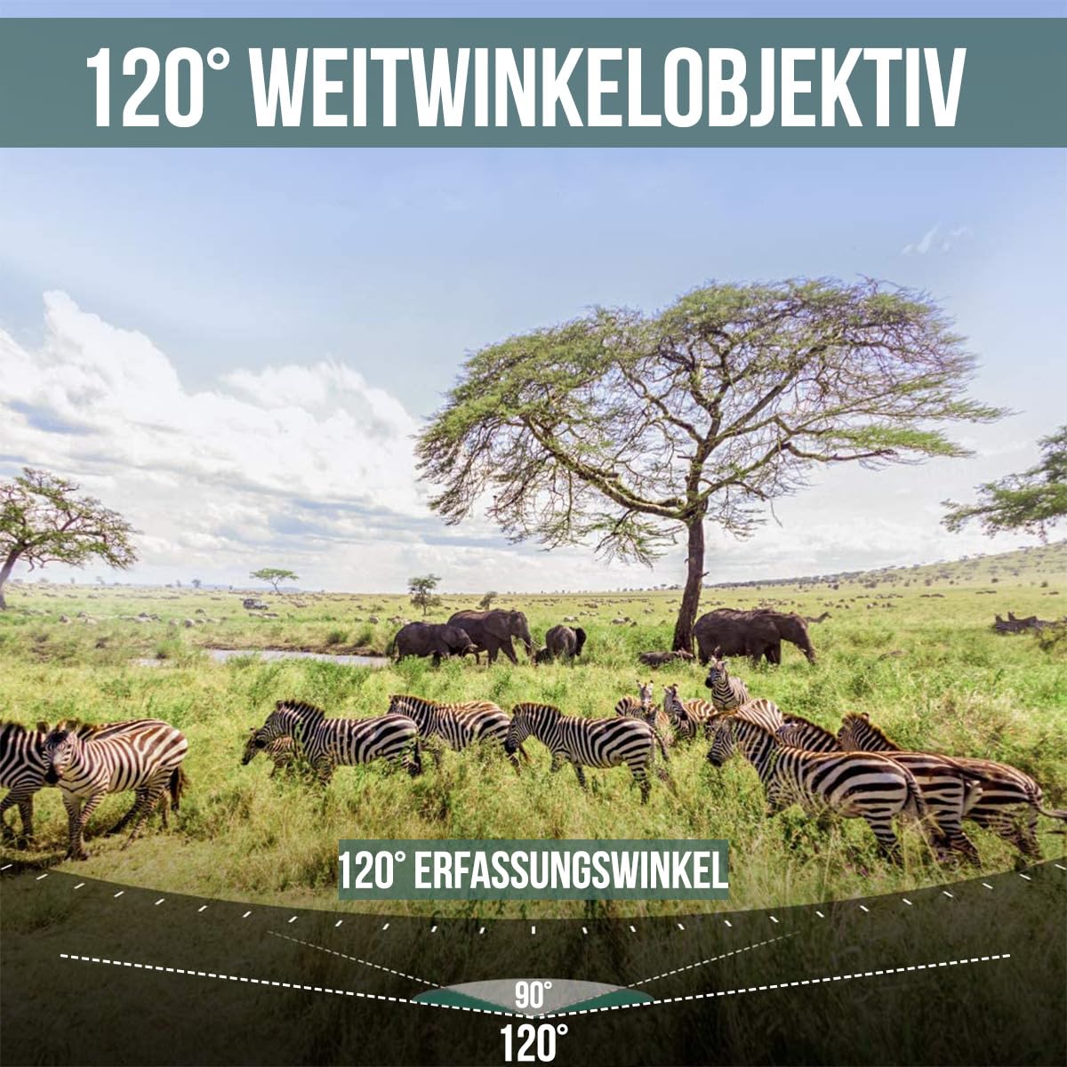 Strex Wildkamera mit Nachtsicht - 120 MP 4K Ultra HD - Wasserdicht - Inkl. 32 GB SD