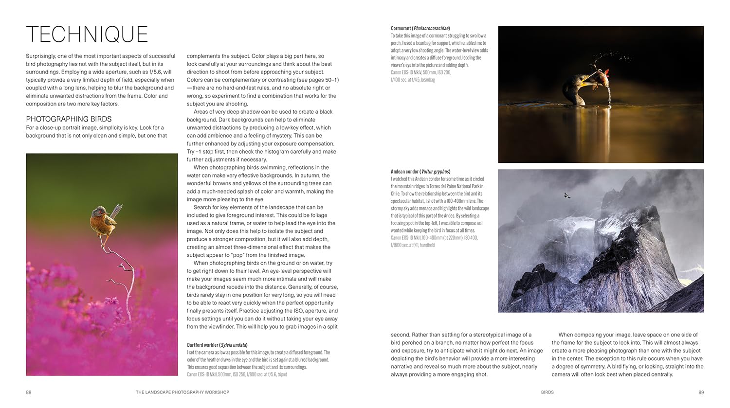 Wildlife Photography Workshop, The