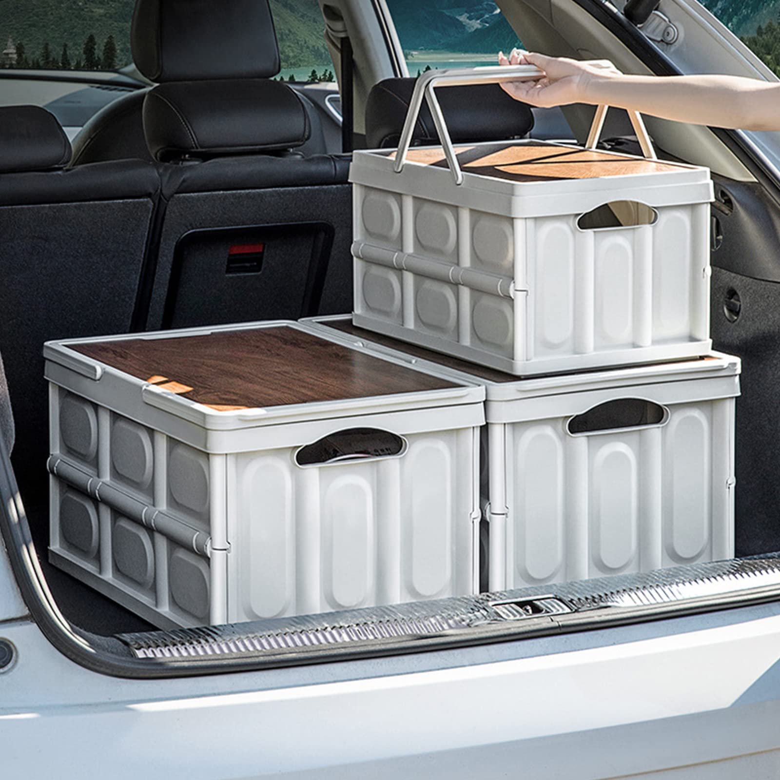 Cajas Almacenaje, Caja Plegable Portátil Cajas Organizadoras Apilable Cajas Almacenaje Plastico Caja Almacenaje con Tapa Cajas Almacenaje Decorativas con Ruedas Cajas Almacenaje Ropa