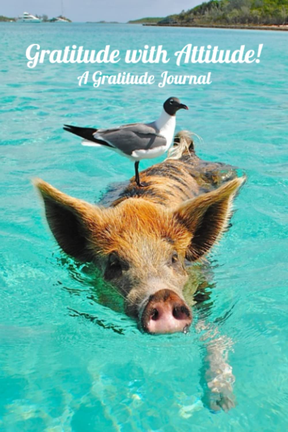 Gratitude with Attitude: A Gratitude Journal