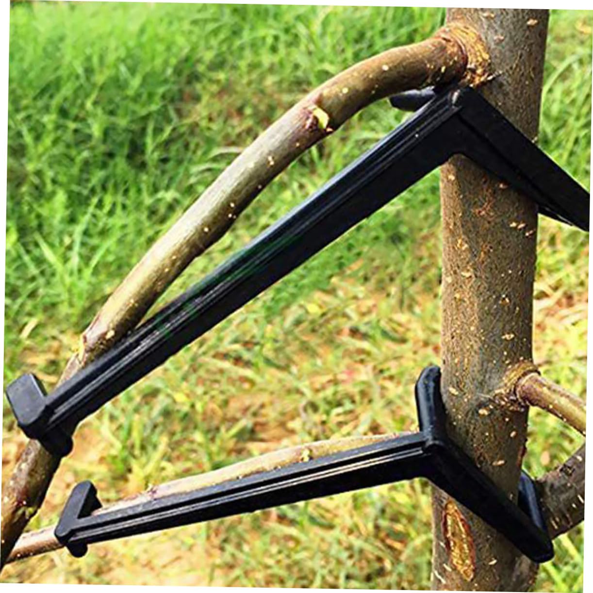 BESTonZON 2 Sätze Pflanzen Clips Teiliges Einstellbare Zweigbinder Für Obstbäume Praktische Gartenhilfe Zur Formung Äste Für Birnbäume Langlebig Und Benutzerfreundlich 25 Stück * 2