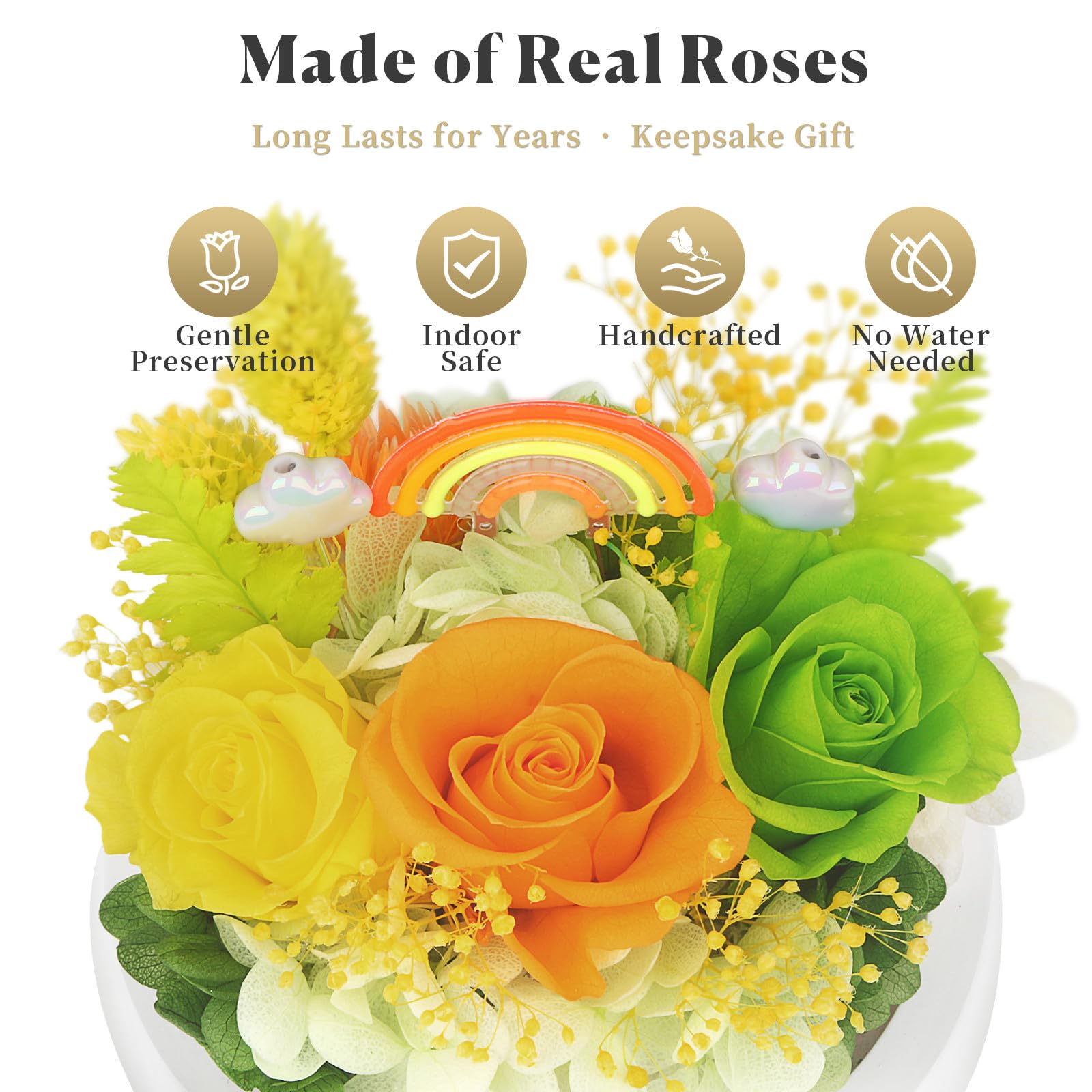 Rainbow LED Preserved Roses - Aesthetic Gift for Her -3
