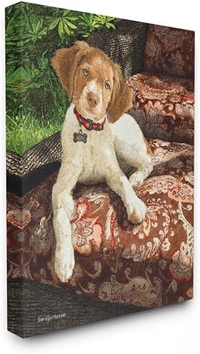 Miniatura 1 de Stupell Industries Sueellen Ross - Lienzo decorativo para pared, diseño floral de cachemira sentado con perros de campo, 16 x 20 pulgadas