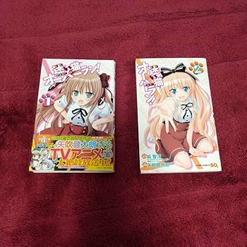 迷い猫オーバーラン！　DVDBOX 　全６巻 Amazon.co.jp: 迷い猫オーバーラン! 全6巻セット [マーケット