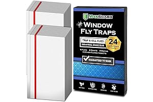 MaxGuard Window Fly Traps: The Ultimate Fly Paper Sheets for a Bug-Free Home