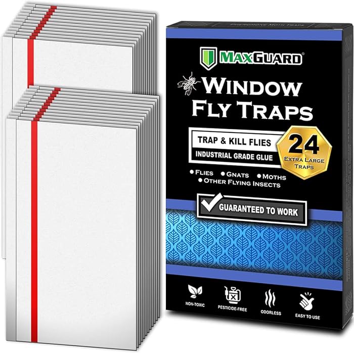 Buy MaxGuard Window Fly Traps (24 Traps) Catch and Kill Houseflies