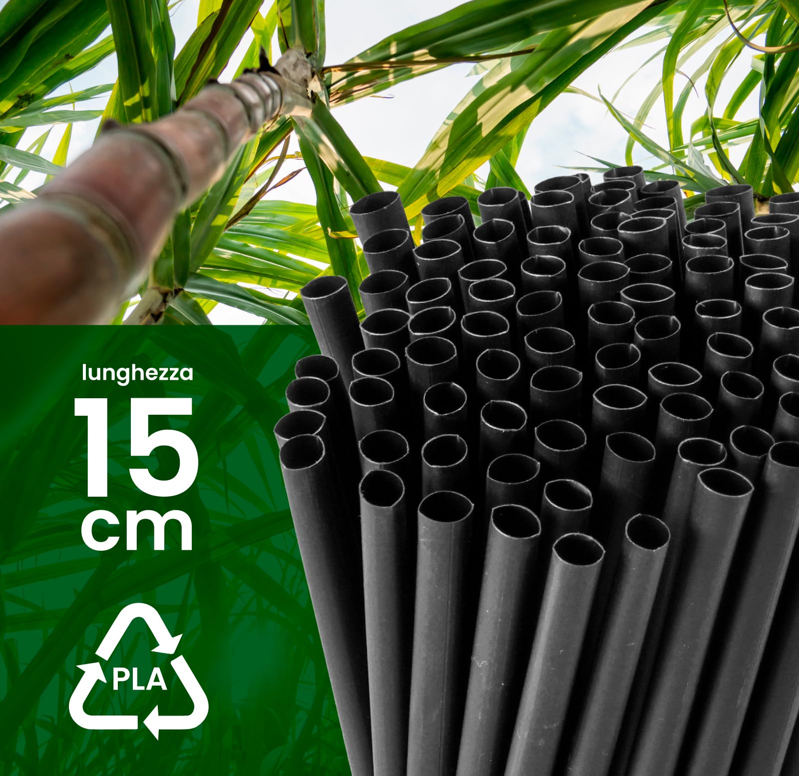 Cannucce Di Carta Jumbo GREENBOX - 150 Pezzi, 23cm, Biodegradabili - Foto 6