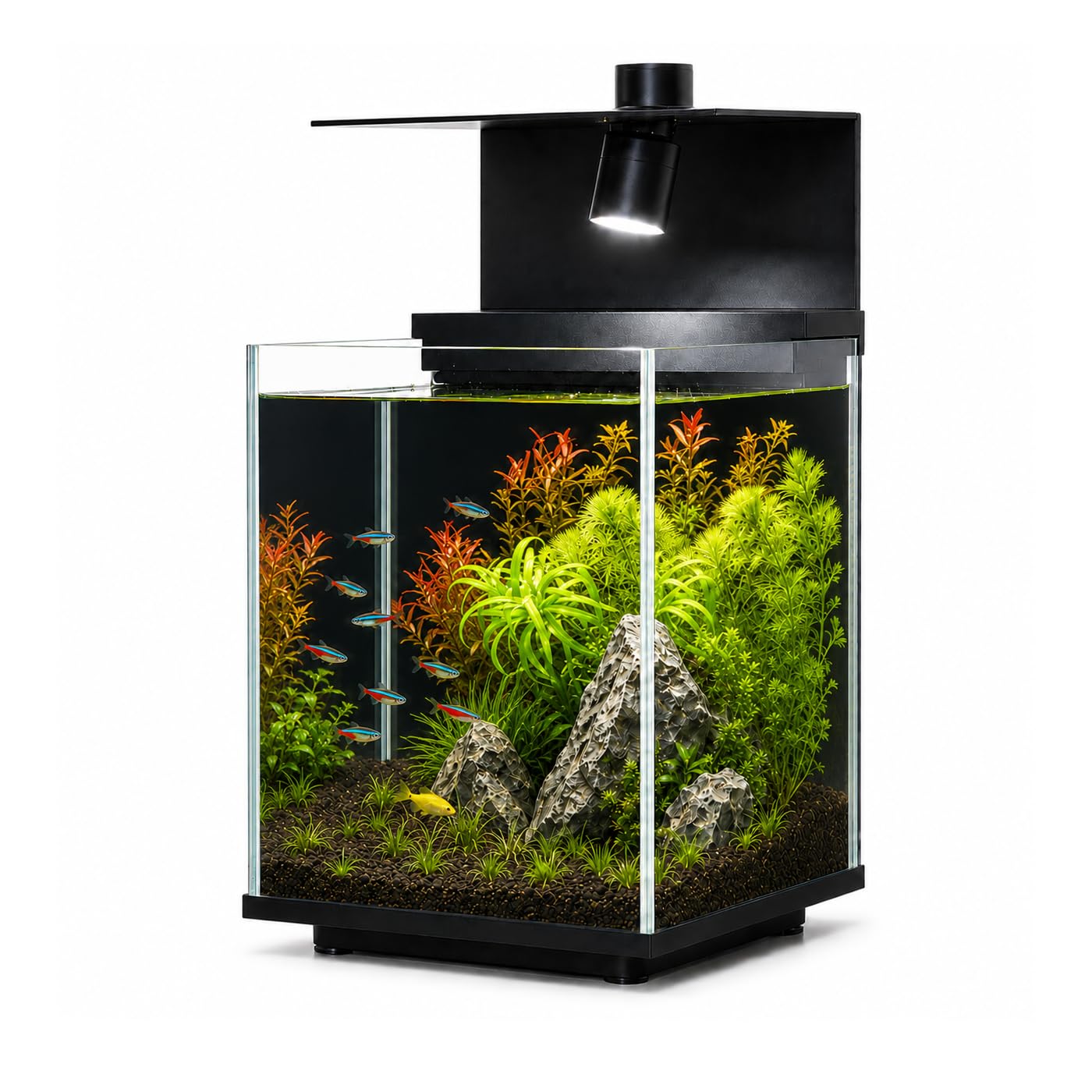 Amazon | Biorium Fit 水槽セット 小型水槽 18cm 卓上 オールインワン