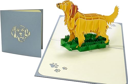 Rykamia Golden Retriever - Tarjeta emergente tarjeta en blanco con sobre tarjeta de cumpleaños de perro tarjeta de cumpleaños Golden Retriever