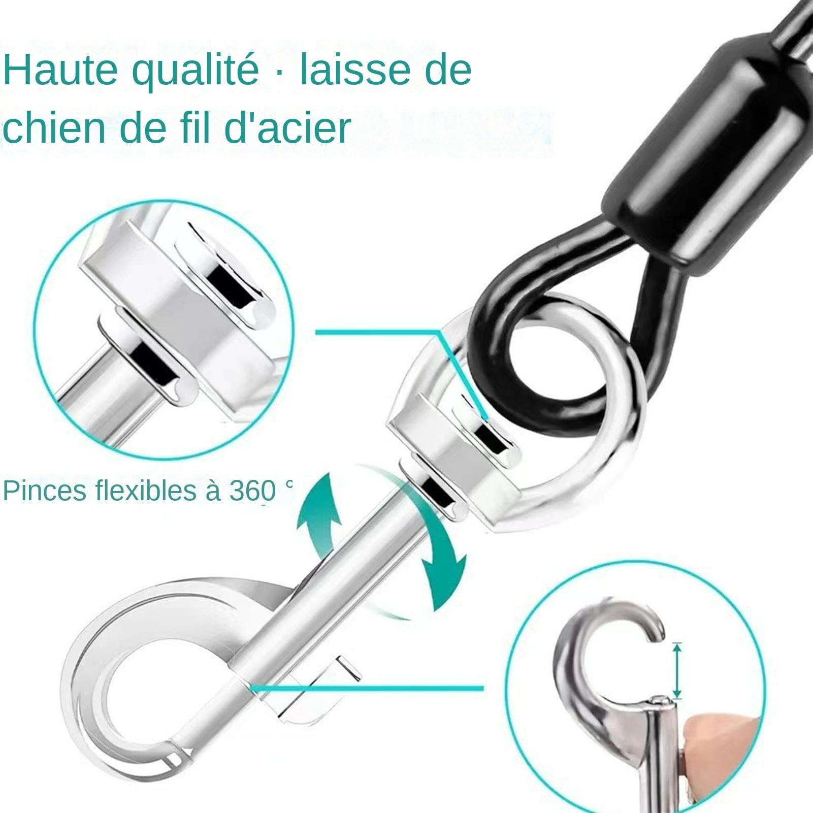 Ceinture De Sécurité De Voiture Anti-mastication Pour Chien, Corde
