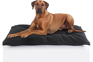 Kong indestructible dog beds