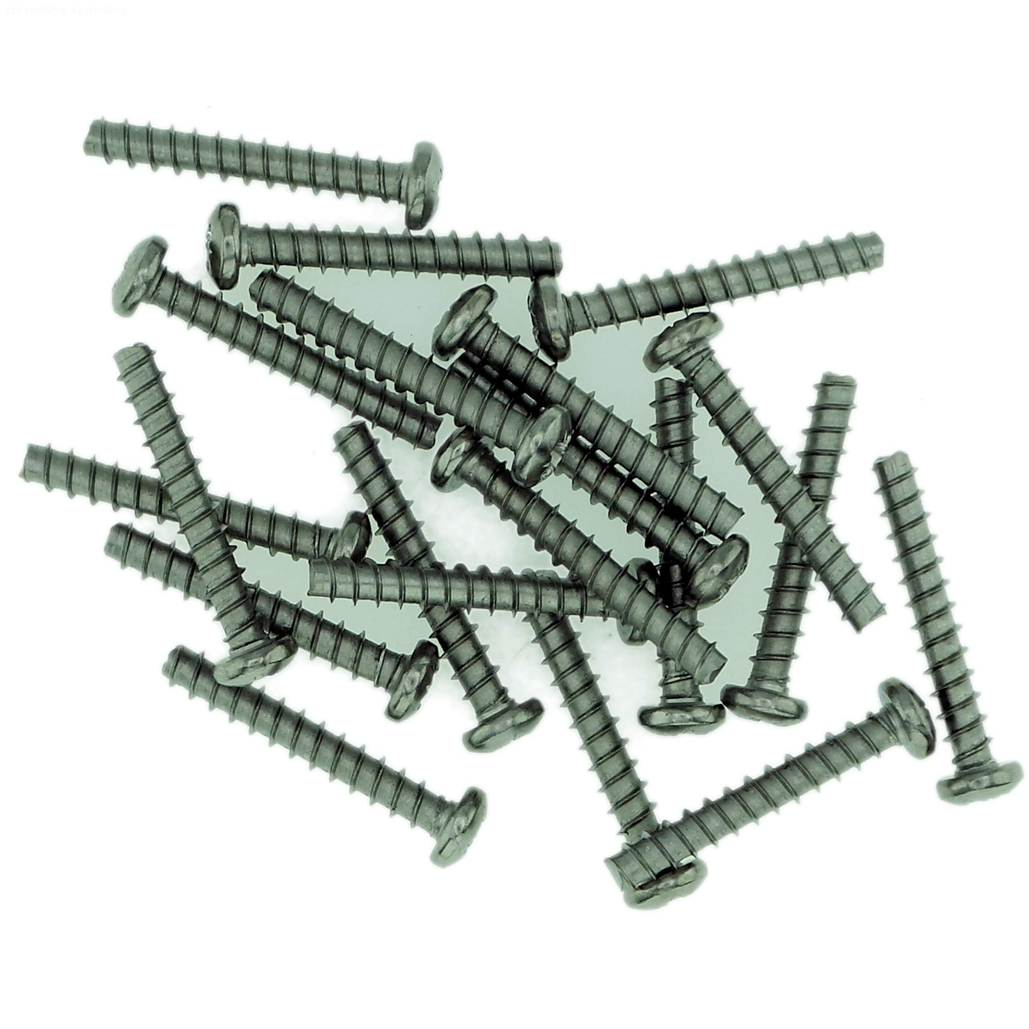 Singularity Supplies D3 (3Mm X 10Mm) Pozi Pan Screws For Plastic (Trilobular) - Stainless Steel (A2) (Pack Of 20)