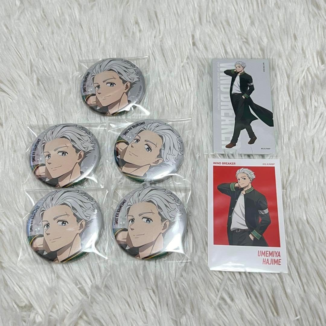 WIND BREAKER ウィンブレ ベースヤード 梅宮一 缶バッジ 特典