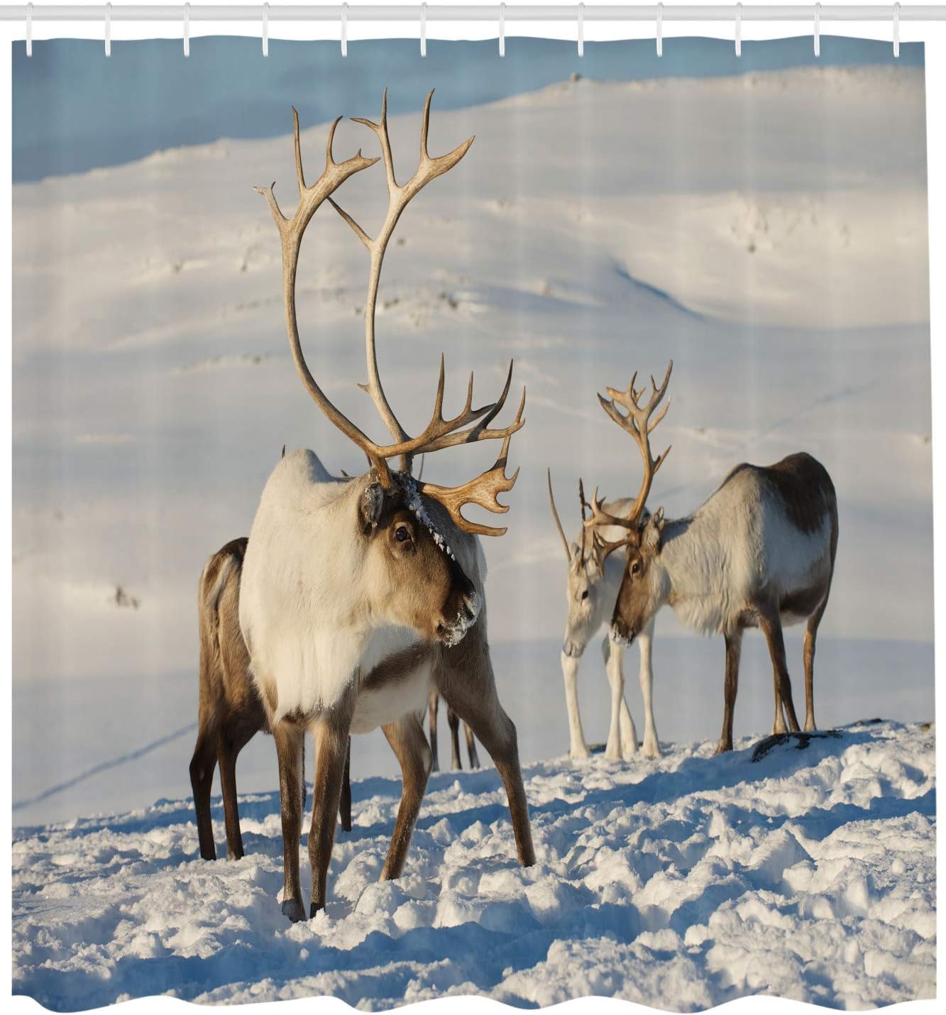 ABAKUHAUS Winter Shower Curtain, Reindeers Natural Environment Tromso Northern Norway Caribou Antler Wildlife - Image 3