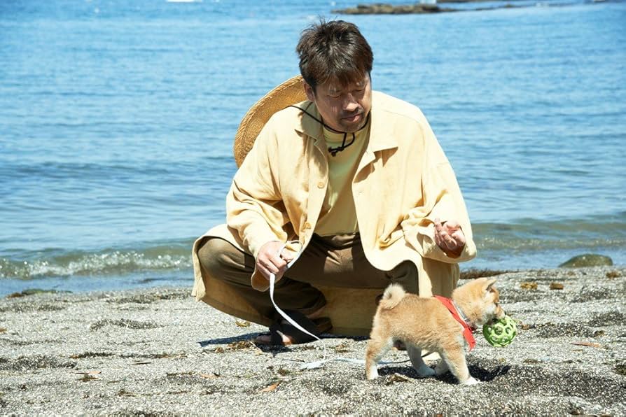 Amazon.co.jp: ドラマ「 幼獣マメシバ 望郷篇 」DVD-BOX : 佐藤