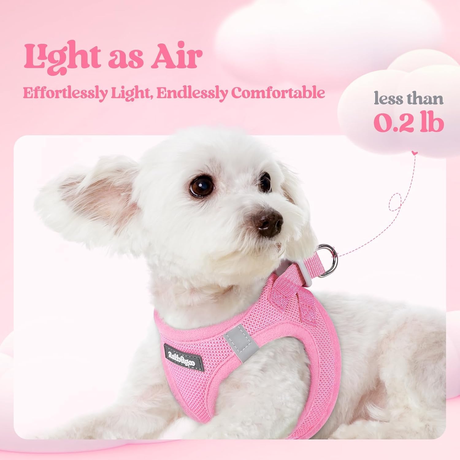 rabbitgoo Dog Harness Small Sized and Leash Set, Step in Soft Light Puppy Vest, Breathable Mesh Pet Harness, Reflective for Safe Easy Walking, Light Pink M