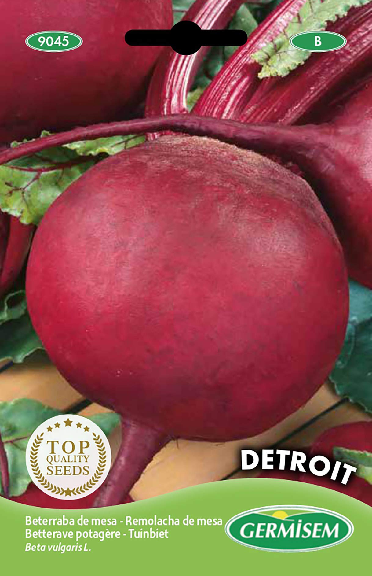 Semillas De Remolacha Detroit Rojo Oscuro – Más De 100 Semillas Con 90% De Germinación