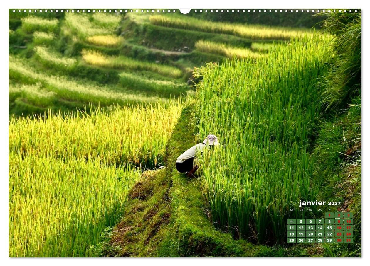 Riz de Chine (Calendrier mural 2027 DIN A2 vertical), CALVENDO calendrier mensuel: La Chine est le plus important producteur et consommateur de riz dans le monde