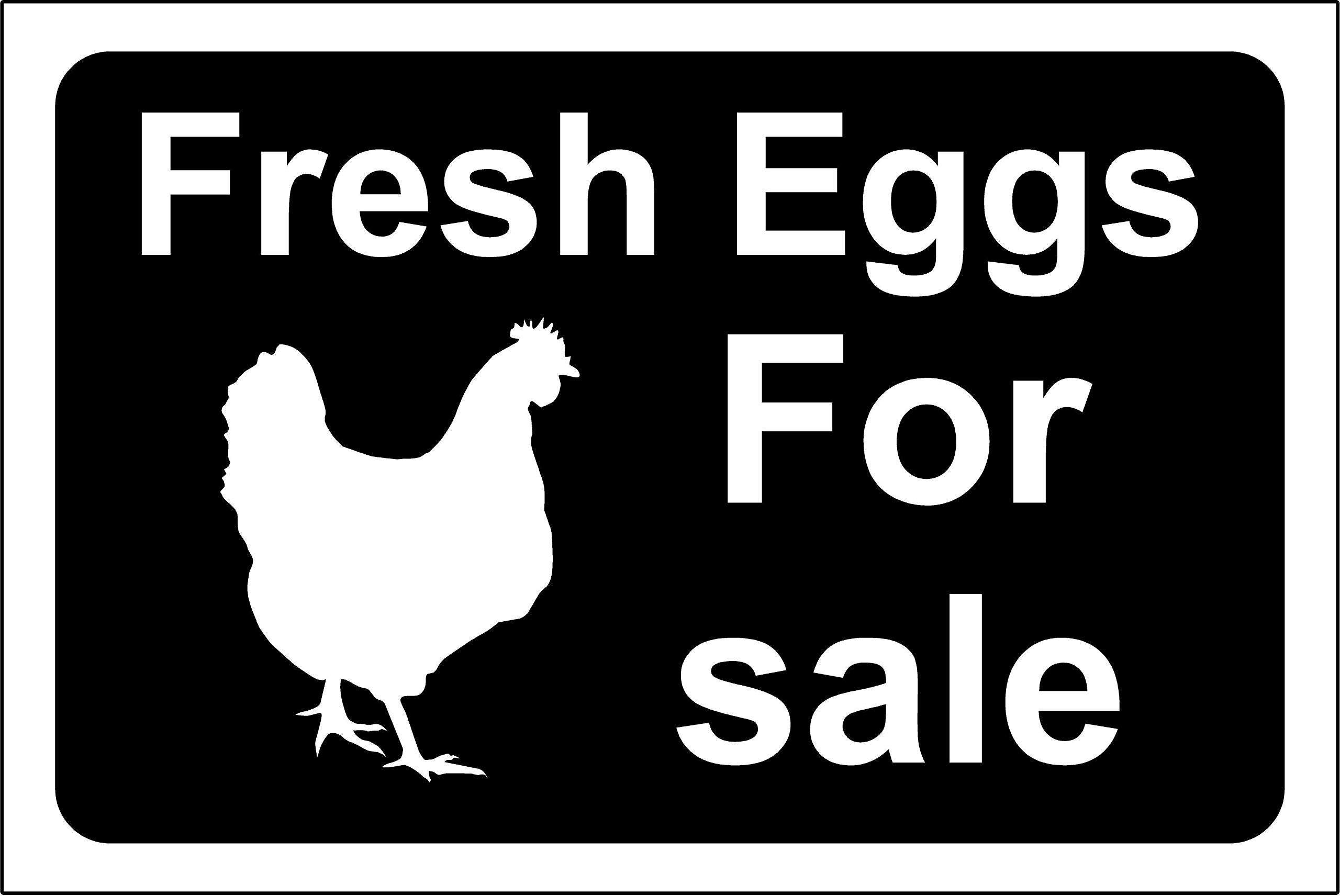 Fresh eggs for sale sign - 1.2mm Rigid plastic 400mm x 300mm