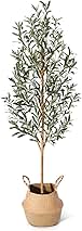 Faux Olive Tree 6FT – Tall Artificial Plants Indoor with Real Wood Trunk & Seagrass Basket, Lifelike Silk Leaves & Fruits – Potted Large Fake Trees for Home, Living Room, Bedroom & Office Decor