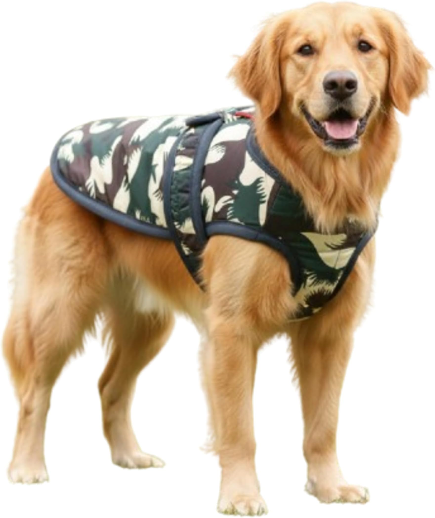 Berlin's Dog Winter Jacket Army Green for All Breeds, Warm Fleece Lined Dog Coat Windproof Pet Winter Clothing Adjustable Lightweight Dog Cold Weather Jacket for Small Medium Large Dogs (14 Inch)