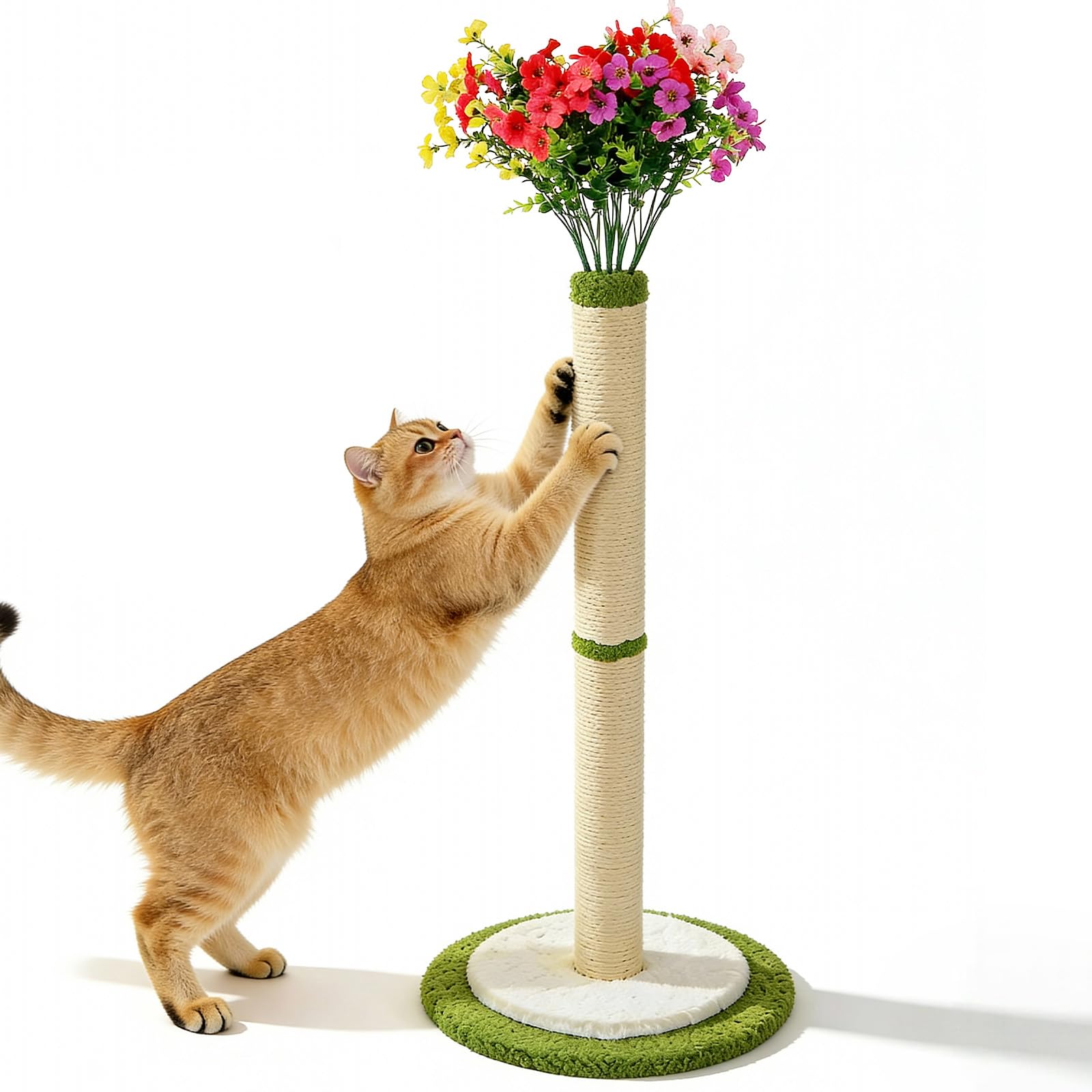 From Whiskers to Wonderland: The Ultimate 20‑Item Checklist for New Cat Owners 2 CWV Violet Flower Cat Scratching Post