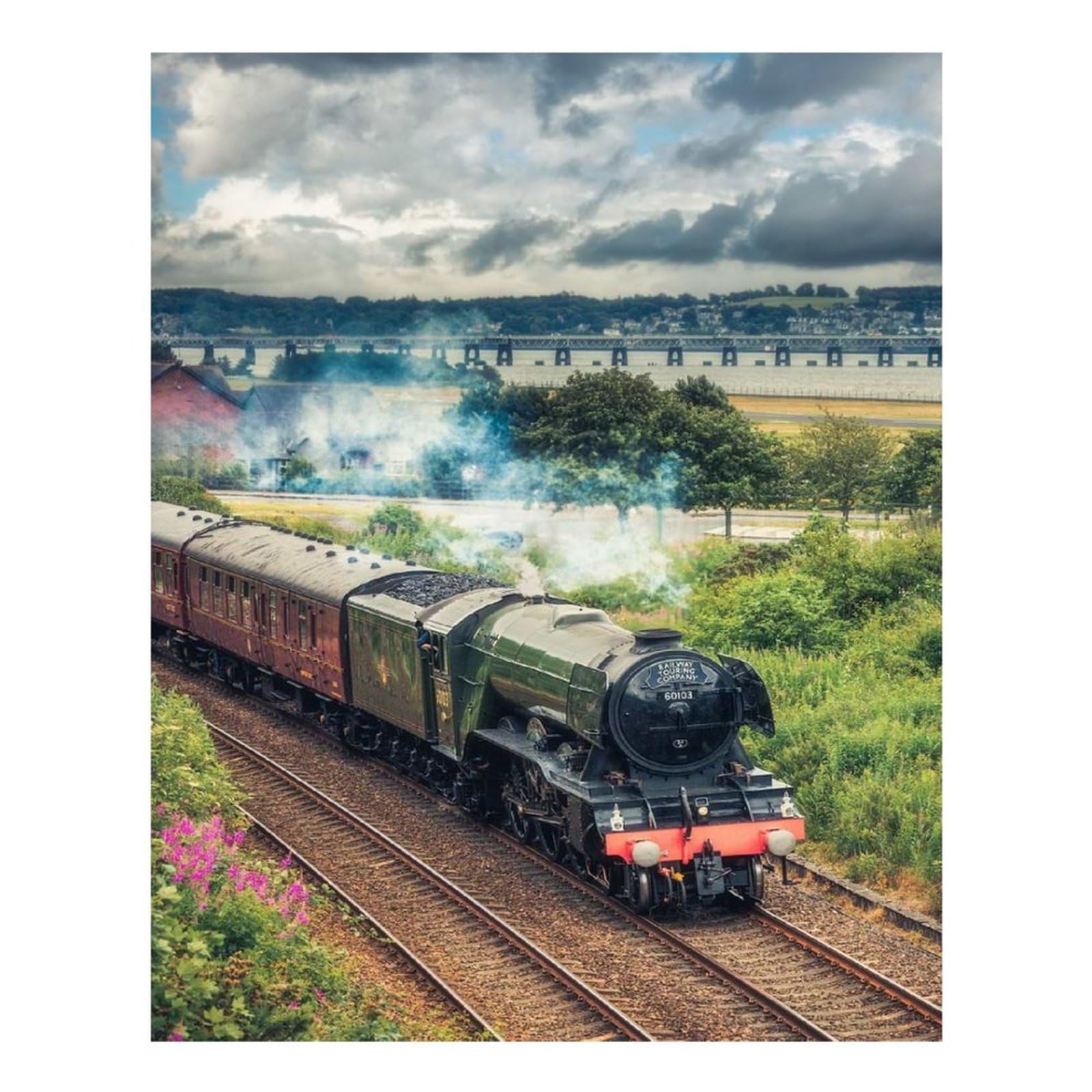 Poliuaws Flying Scotsman Dundee Diamond Painting Kits Adults For Home Wall Decor Relaxing Fun 5D Diy Crystal Art With Diamonds Gem Art 16"X20"