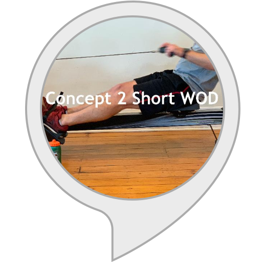 Top 10 Best Rowers Under 500 Picks For 2022 BNB