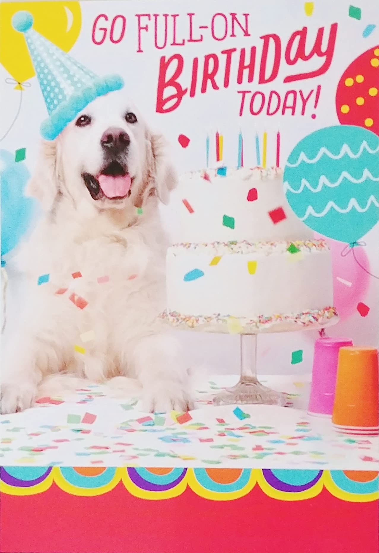 Go Full-On Birthday Today with Golden Labrador Retriever Dog