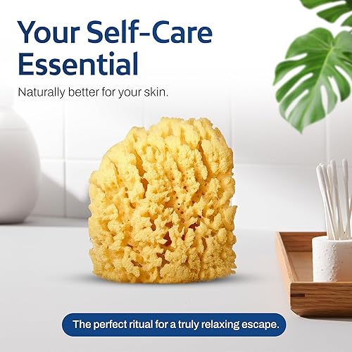 Miniatura 7 de HartFelt Esponja suave exfoliante de mar amarillo de 4 pulgadas  Esponjas de ducha naturales para baño para hombres y mujeres  Espuma rica