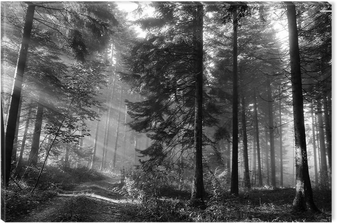 Inspirational Art Black and White Road in The Forest Canvas