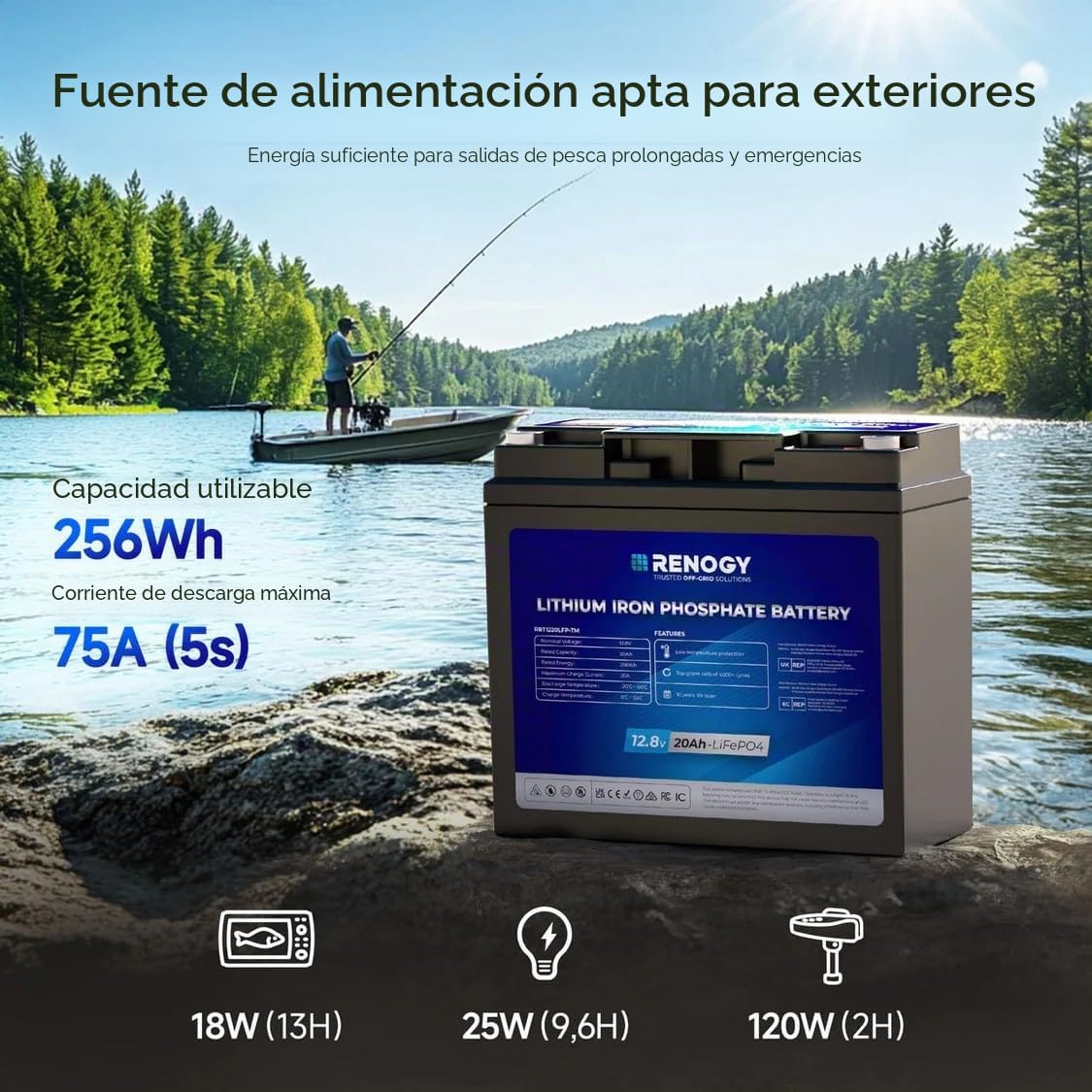 Renogy Batería de litio LiFePO4 de 12 V y 20 Ah con protección BMS de 4000 ciclos de baterías de ciclo profundo, batería solar de 12 V, batería de 20 Ah para motor de trolling, cabinas