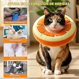 Ver la foto 6