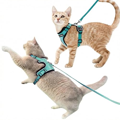 Luxelle 2 Pack Escape-Proof Cat Harness and Leash Set for