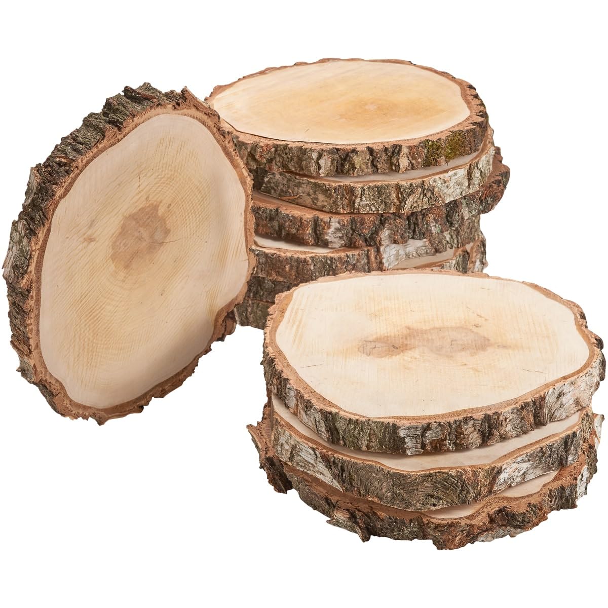Große Holzscheiben zum Basteln oder Dekorieren - 10 Stück naturbelassene Baumscheiben ca. 35 cm (33 - 37 cm) Durchmesser aus Birkenholz - runde Holz Birkenscheiben als Holzdeko Holzplatten