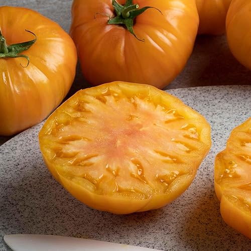 Miniatura 1 de Semillas de tomate  caqui  Paquete  Semillas vegetales, semillas tradicionales fáciles de cultivar y mantener, crecimiento rápido, culinario