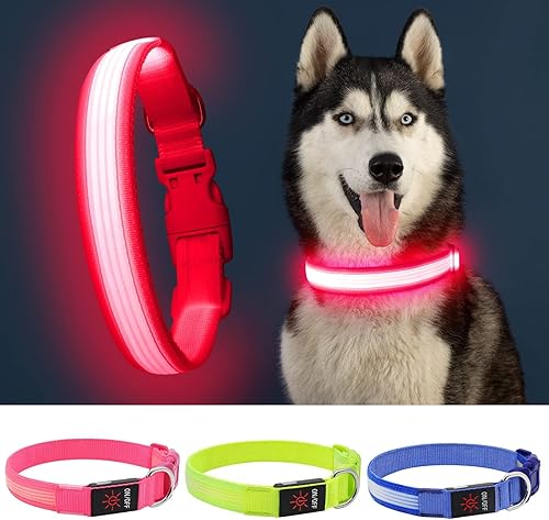 Miniatura 2 de YFbrite - Collar de perro con luz LED, recargable por USB, collar de cachorro súper brillante con luces para perros ajustable y brillante para