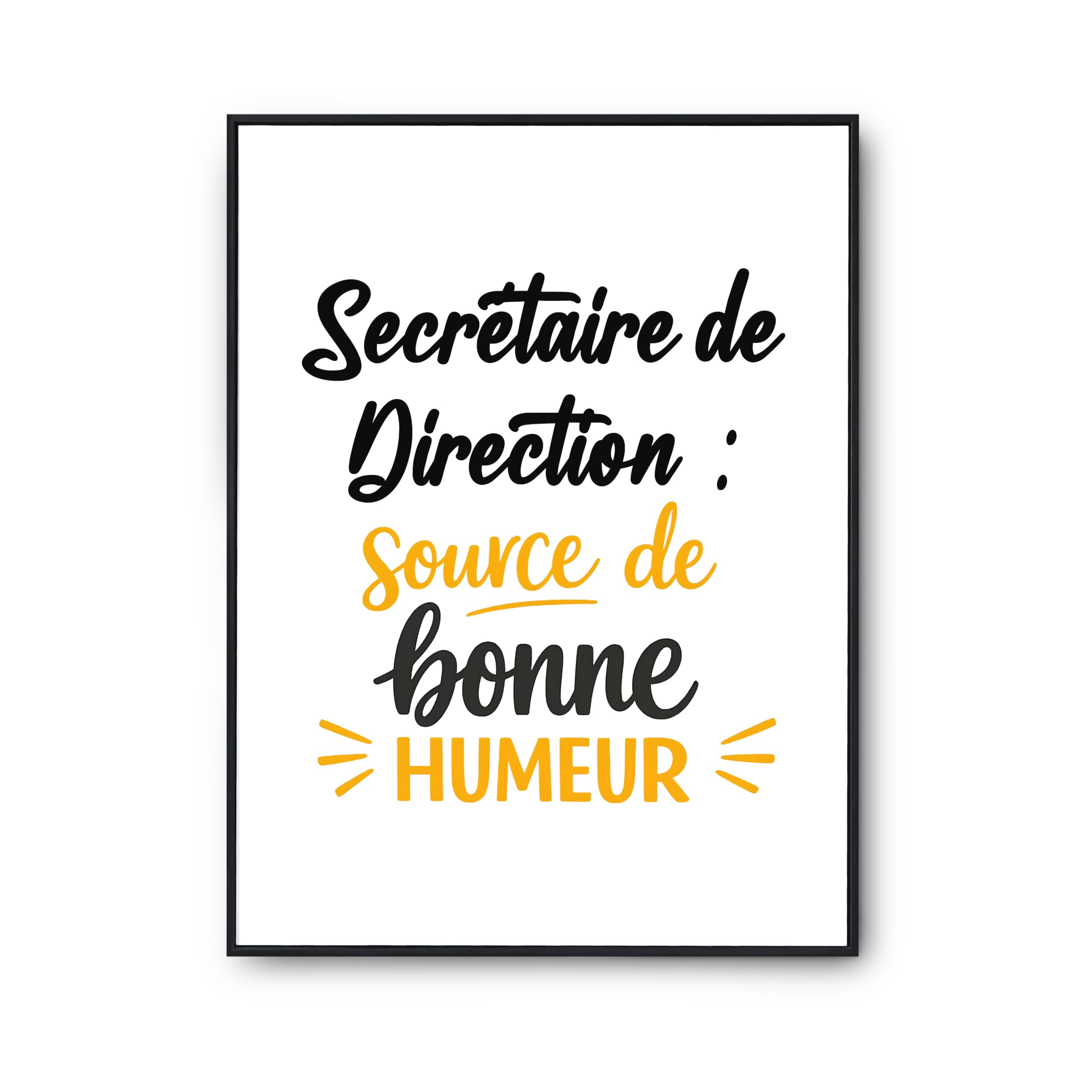 Affiche secrétaire de direction decoration murale humour