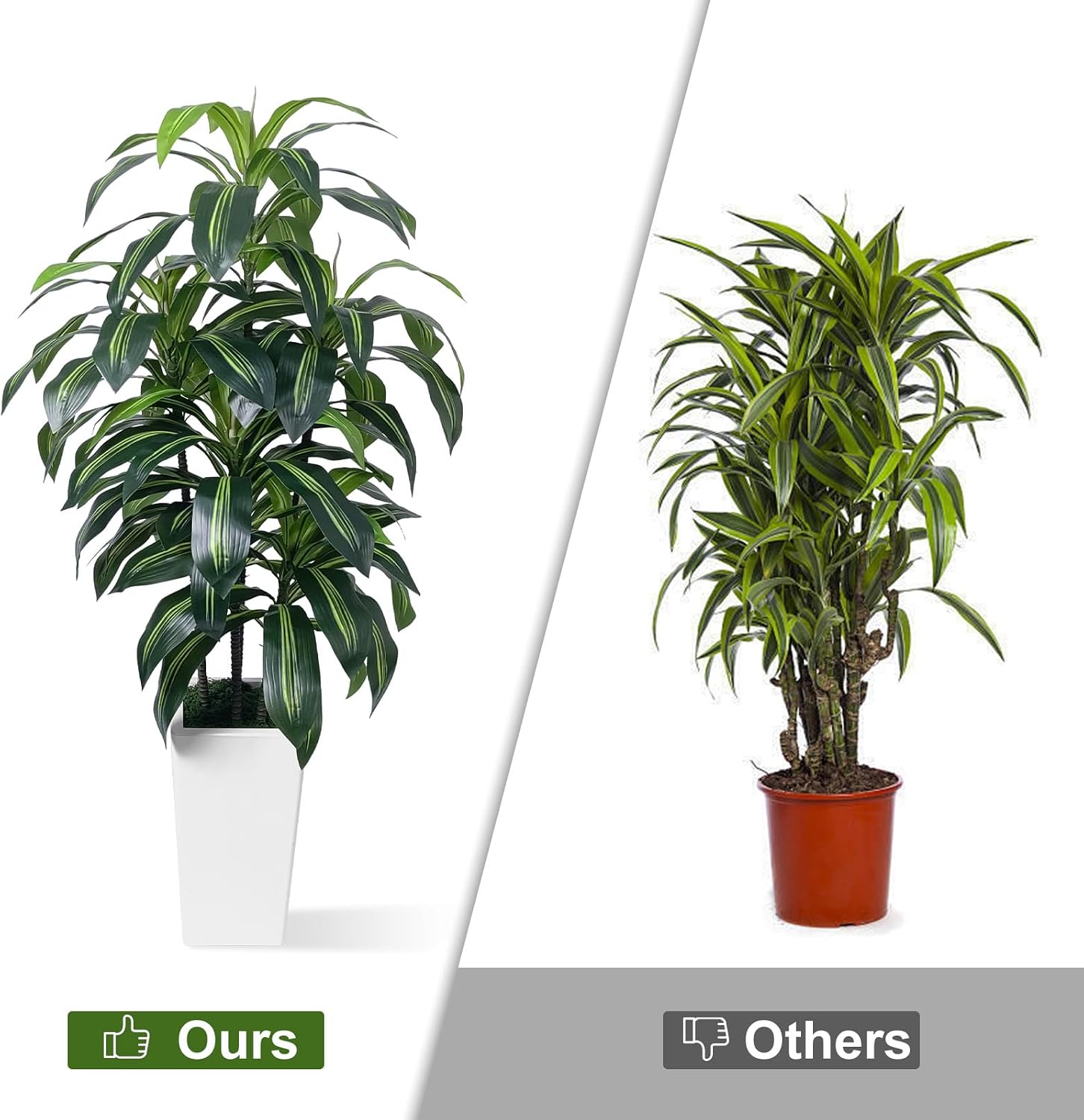5FT Artificial Dracaena Tree, Fake Tree Indoor with White Tall Planter,Tall Artificial Plants Indoor,Artificial Silk Tree for Home Office Decor (White)