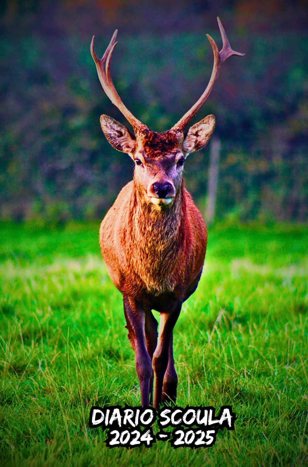 Diario Scuola 2024 2025 Cervo: Organizzatore settimanale una settimana per due pagine, Pianificatore scolastico per studenti (elementari, medie, superiori, università)