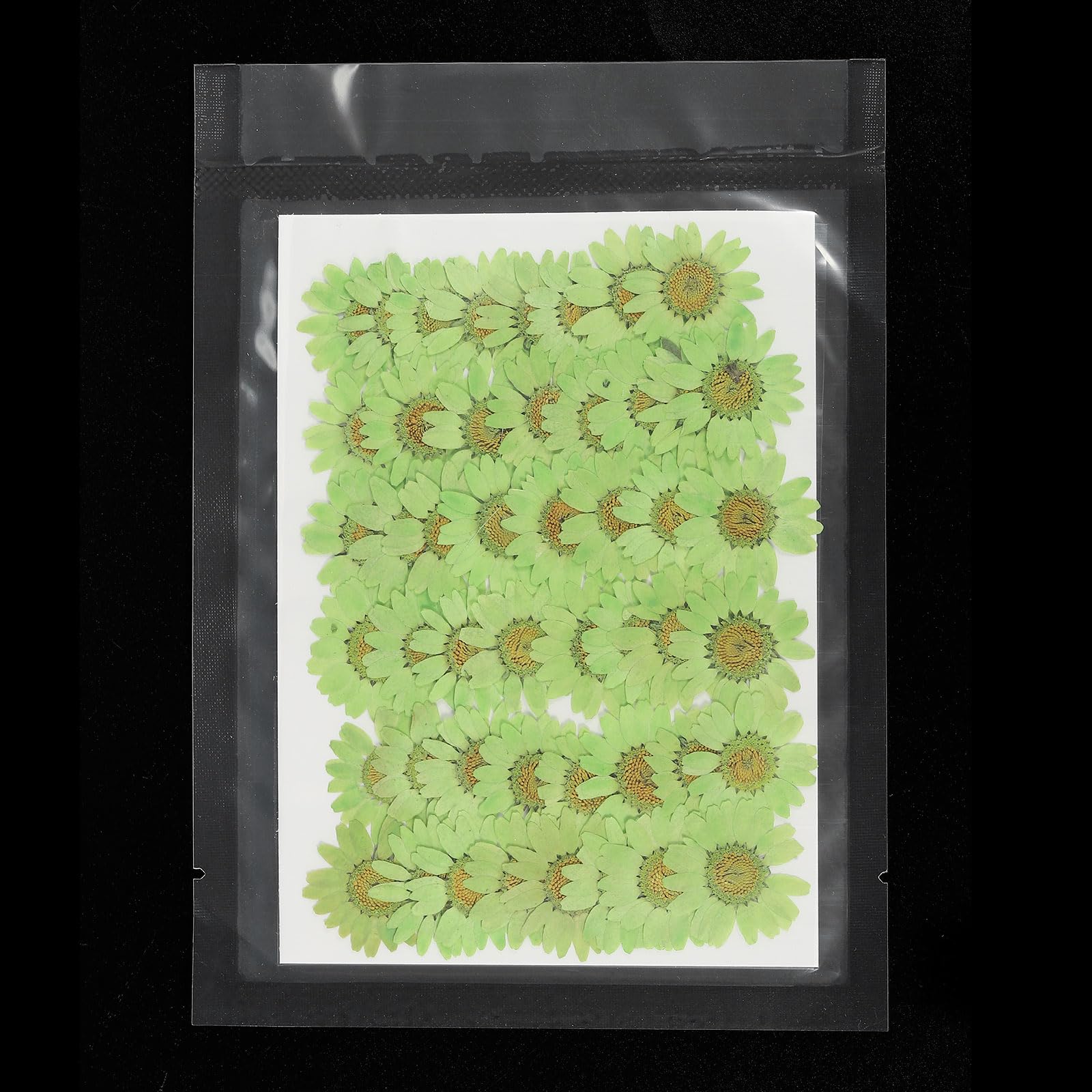 PATIKIL 48 Pcs Dried Pressed Flower Natural Dried Daisy Flower for DIY Art Crafts House Decoration Nails Decoration,Soft Green - Image 4