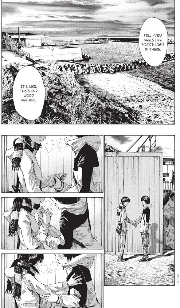 A Girl on the Shore Collector's Edition: Asano, Inio