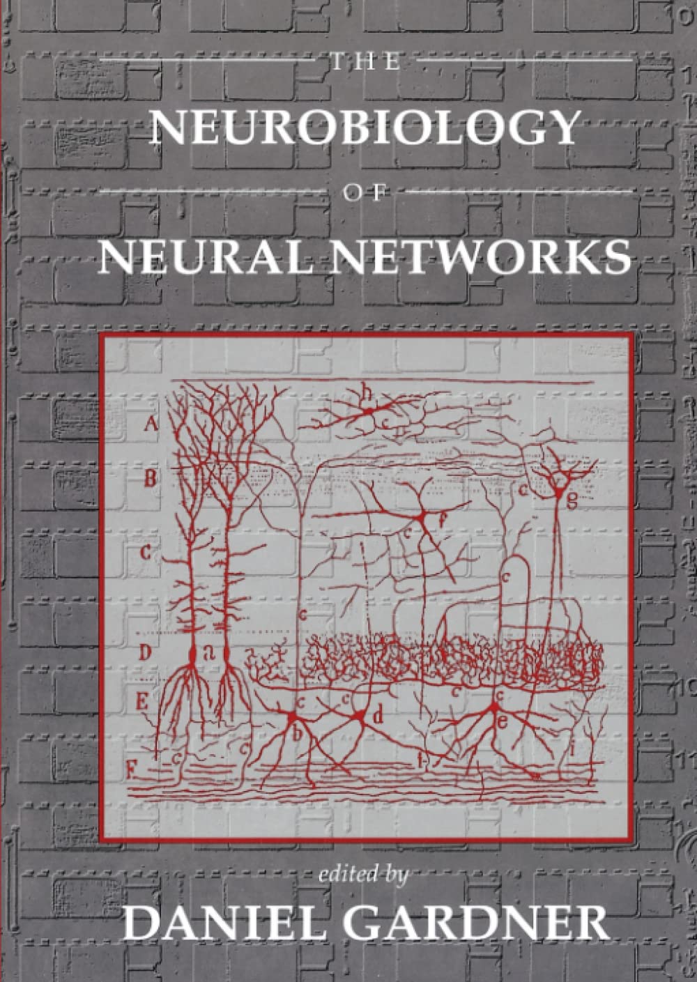 Neurobiology of Neural Networks