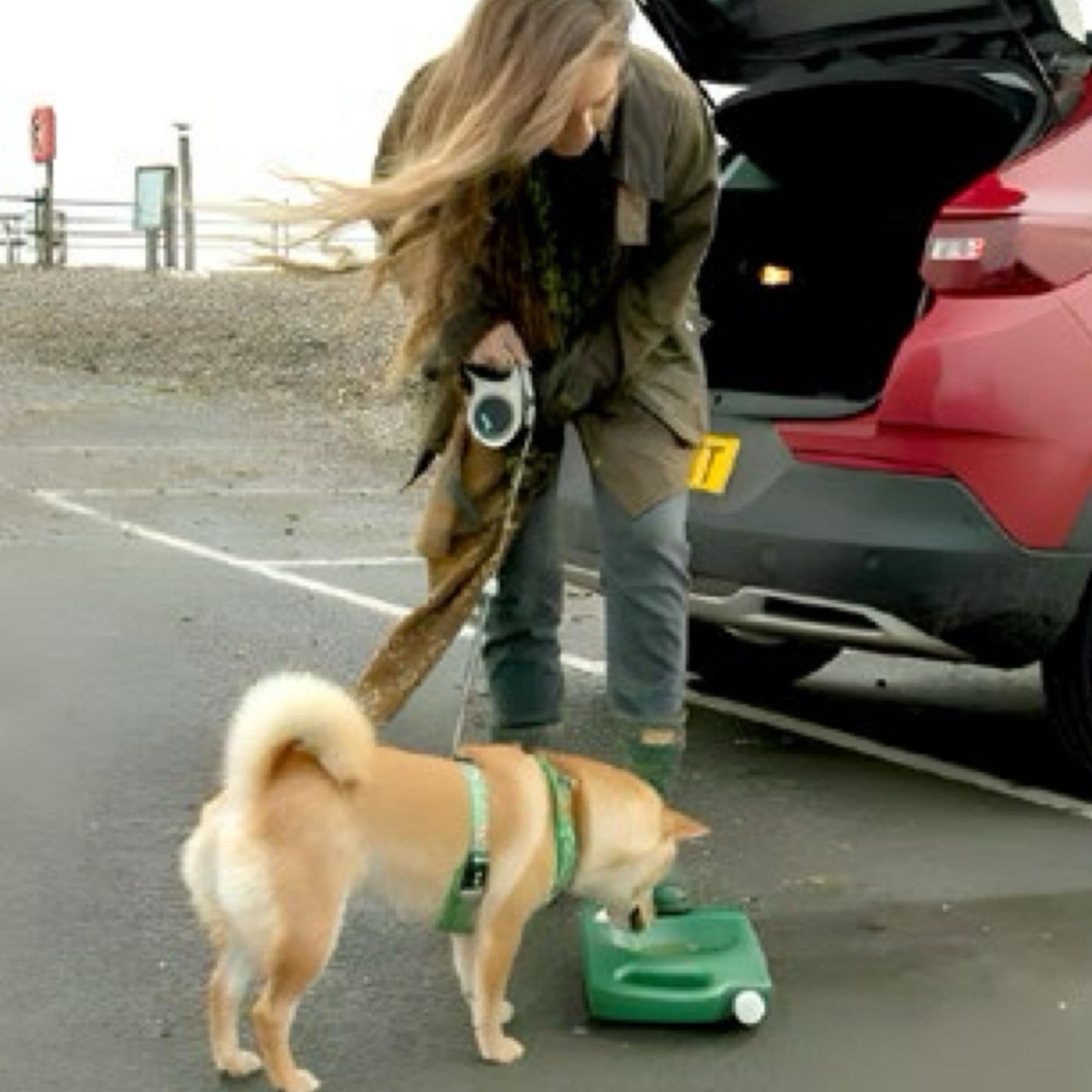 Gamelle de voyage pour chien - Bouteille d'eau pour chien 4 l - Gamelle portable avec poignée - Grand distributeur d'eau stable - Pompe à pied - Voiture - Voyage en plein air - Camping - Fournitures