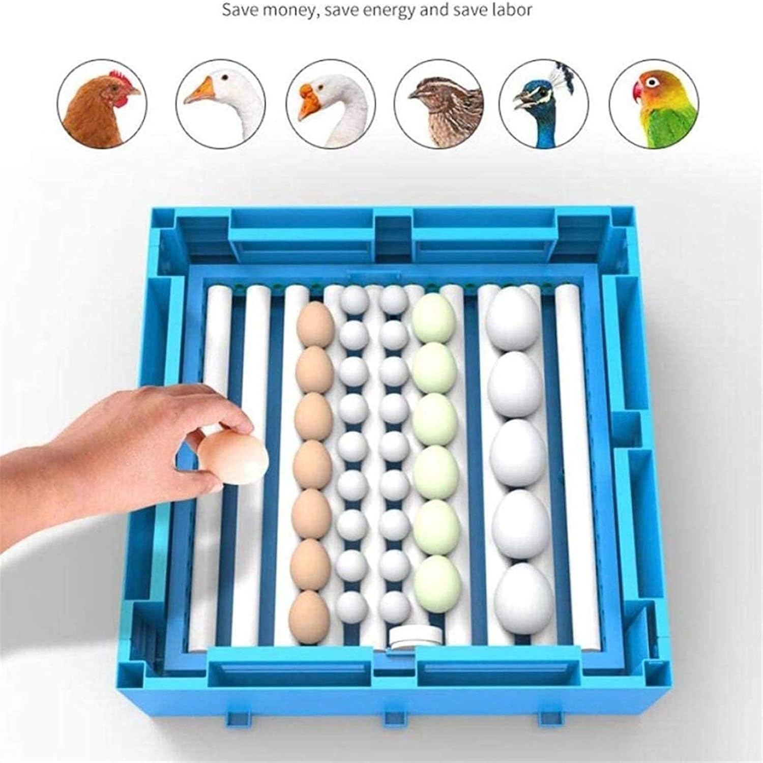AJLDN Egg Incubator with Automatic Egg Turning, Egg Hatching Incubator with Lab General Purpose 320 Eggs Incubators with Temperature Control for Chickens Ducks Birds,Q : Industrial & Scientific