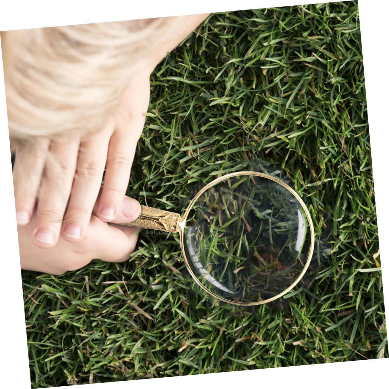 2pcs Portable Handheld Insect Magnifier for Boys and Girls Compact Glass Handle for Nature Exploration and Science Observation for Outdoor Adventures